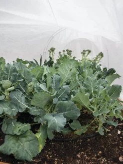 All-Purpose Garden Fabric -Deals The Garden & Yard Store 32646 7940 tif