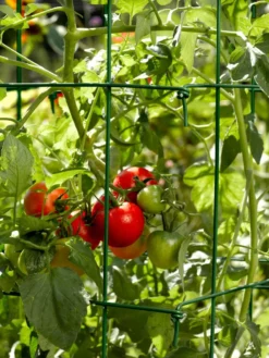 Tomato Cages, Set Of 4 -Deals The Garden & Yard Store 34182 588 tif