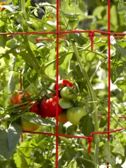 Tomato Cages, Set Of 4 -Deals The Garden & Yard Store 34182 592