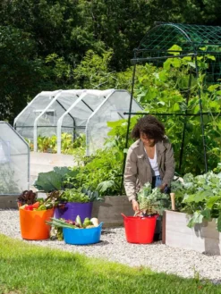 3-Season Plant Protection Tent, 3' X 6' -Deals The Garden & Yard Store 35 592 0181 1