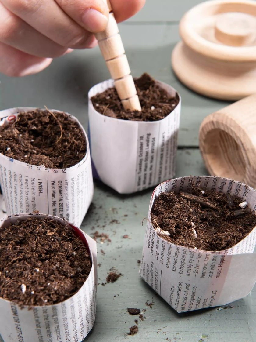 Organic Seed Starting Mix, 6 Quarts 2 Organic Seed Starting Mix, 6 Quarts - Image 2