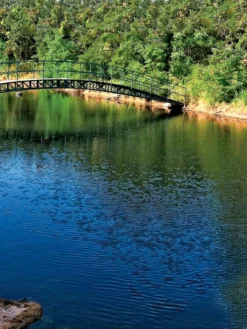 Aquasphere Pond Cleaners -Deals The Garden & Yard Store 37425 001ed 1