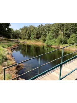 Blast, 125,000 Gallon, 12 Packets -Deals The Garden & Yard Store 37425 002v 1