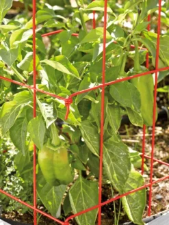 Pepper And Eggplant Cages, Set Of 3 -Deals The Garden & Yard Store 37464 567 tif