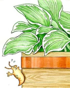 Copper Slug Tape -Deals The Garden & Yard Store 38 994 b