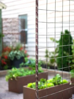 Jardin Rose Arch 8 Jardin Rose Arch -Deals The Garden & Yard Store 38690 9948 tif