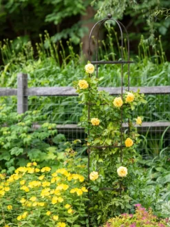 Jardin Round Obelisk, 7' -Deals The Garden & Yard Store 39 530 1668 tif