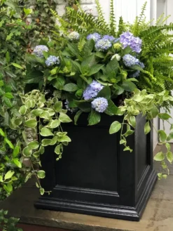 Fairfield Self-Watering Square Planter, 20” X 20” -Deals The Garden & Yard Store 39 618 205V tif