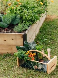 Garden Hods -Deals The Garden & Yard Store 39 761 572 tif