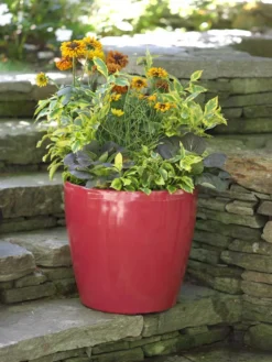 Viva Round Self-Watering Rolling Planter, 17.25” Diameter -Deals The Garden & Yard Store 39326 046 tif