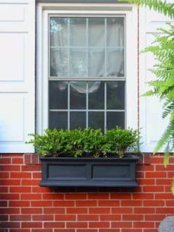 Fairfield Self-Watering Window Box, 3’ -Deals The Garden & Yard Store 39344 100V tif