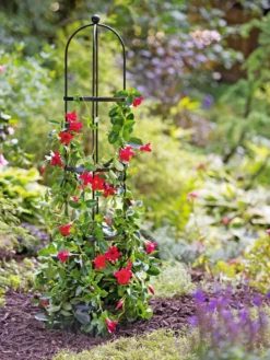 Essex Round Trellises -Deals The Garden & Yard Store 39544 2267 tif