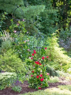 Essex Round Trellises -Deals The Garden & Yard Store 39545 2286 tif