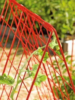 Deluxe Cucumber Trellis -Deals The Garden & Yard Store 39806 542 tif