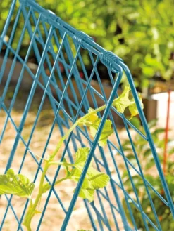 Deluxe Cucumber Trellis -Deals The Garden & Yard Store 39806 BLUE 100 tif