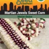 Corn, Martian Jewels Organic Seeds