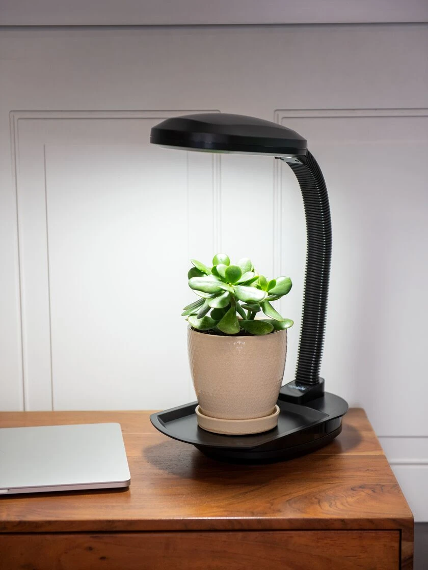 Agrobrite Desktop Plant Light 2 Agrobrite Desktop Plant Light - Image 2