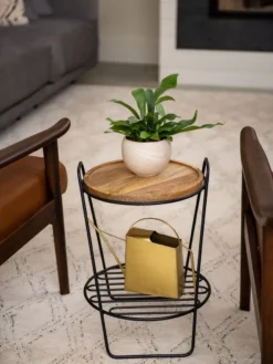 Hairpin Plant Stand With Shelf