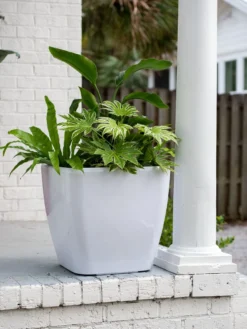 Viva Square Self-Watering Rolling Planter, 20" Diameter, Set Of 2 -Deals The Garden & Yard Store 3 4 crop 8612930 0033 tif