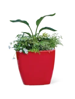 Viva Square Self-Watering Rolling Planter, 20" Diameter, Set Of 2 -Deals The Garden & Yard Store 3 4 crop 8612930 0037 tif