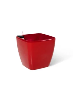Viva Square Self-Watering Rolling Planter, 20" Diameter, Set Of 2 -Deals The Garden & Yard Store 3 4 crop 8612930 0105