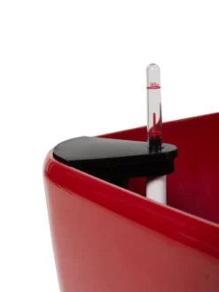 Viva Square Self-Watering Rolling Planter, 20" Diameter, Set Of 2 -Deals The Garden & Yard Store 3 4 crop 8612930 0107