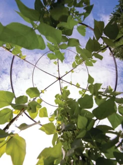 Jardin Tower 10 Jardin Tower -Deals The Garden & Yard Store 3 4 crop 8612997 0033