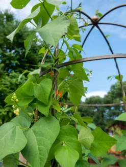 Jardin Tower 8 Jardin Tower -Deals The Garden & Yard Store 3 4 crop 8612997 0058