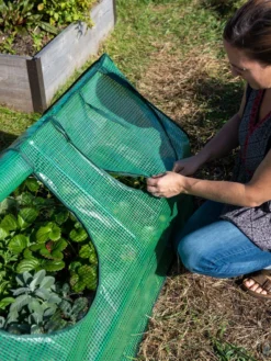 Multi Cloche -Deals The Garden & Yard Store 3 4 crop 8613213 0245