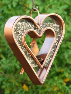 Heart Fly-Thru™ Bird Feeder -Deals The Garden & Yard Store 3 4 crop 8613534 04v