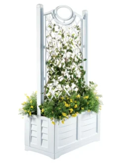 Separate Flower Box With Trellis -Deals The Garden & Yard Store 3 4 crop 8613626 14V