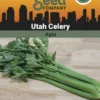Celery, Utah Organic Seeds