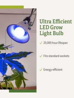 Miracle LED® Grow Light Bulb, Blue 8 Miracle LED® Grow Light Bulb, Blue -Deals The Garden & Yard Store 3 4 crop Miracle Bulb Blue 1