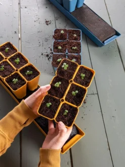 Gardener's Best® XL Seed Starting Kit -Deals The Garden & Yard Store 40 135 6186