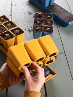 Gardener's Best® XL Seed Starting Kit -Deals The Garden & Yard Store 40 135 6188