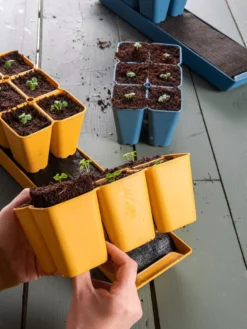 Coco Coir Seed Starting Mix -Deals The Garden & Yard Store 40 135 6192