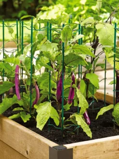 Pepper And Eggplant Stakes, Set Of 3 -Deals The Garden & Yard Store 40308 2116 tif