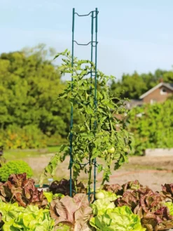 Stacking Tomato Ladders, Set Of 6 -Deals The Garden & Yard Store 40309 100 tif