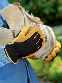 Men's Gold Leaf Winter Touch™ Gloves