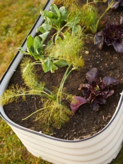 Birdies™ Modular Metal Raised Bed -Deals The Garden & Yard Store 8586930 6019 tif