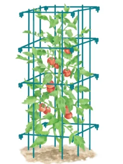 Tomato Cage, Single 6 Tomato Cage, Single -Deals The Garden & Yard Store 8587039 TomatoCage BLUE tif