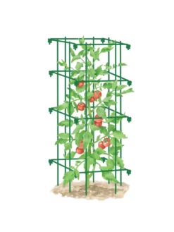 Tomato Cage, Single 7 Tomato Cage, Single -Deals The Garden & Yard Store 8587039 TomatoCage GRN tif