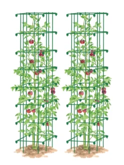 Tomato Towers, Set Of 2 -Deals The Garden & Yard Store 8587041 0006 GRN tif