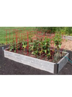 Pepper And Eggplant Cages, Set Of 3 -Deals The Garden & Yard Store 8587048 6008 3 4