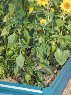 Pepper And Eggplant Cages, Set Of 3 -Deals The Garden & Yard Store 8587048 9792 tif