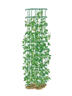 Bean Tower 11 Bean Tower -Deals The Garden & Yard Store 8587060 0008 GRN tif