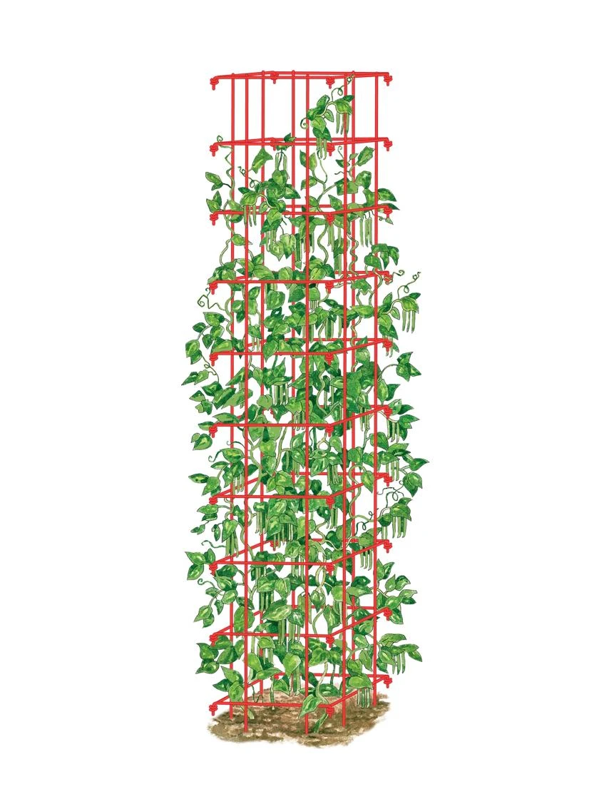 Bean Tower 2 Bean Tower - Image 2