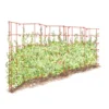 Expandable Pea Trellis
