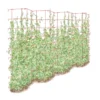 Tall Expandable Pea Trellis