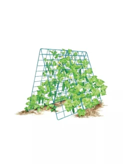 Deluxe Cucumber Trellis -Deals The Garden & Yard Store 8587083 001 BLUE Cukes two sided deluxe cucumber trellis support storm blue 3 4